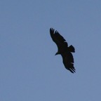 IMG_2082.JPG