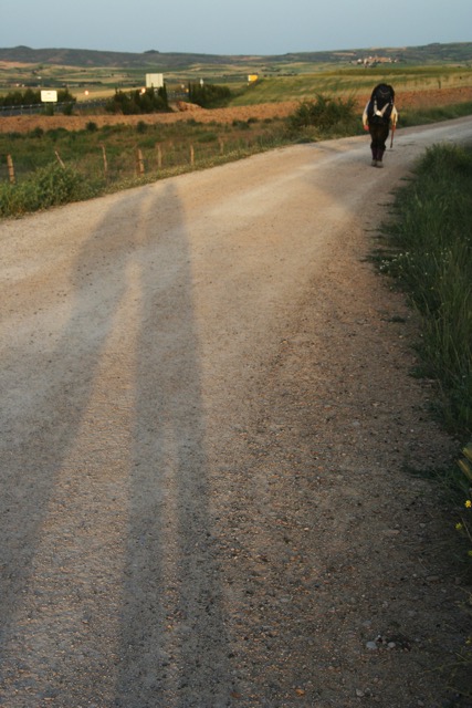 Loading Image
