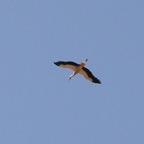 IMG_2166.JPG