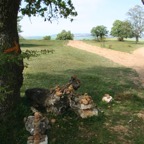 IMG_2215.JPG