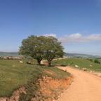 IMG_2222-Panorama.jpg