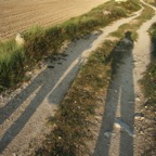 IMG_2254.JPG