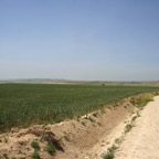 IMG_2263.JPG