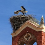 IMG_2289.JPG