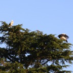 IMG_2294.JPG