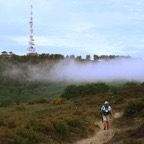 IMG_2432.JPG