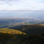 IMG_2444.JPG