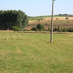 IMG_2470.JPG