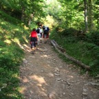 IMG_2498.JPG