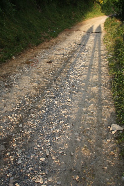 Loading Image