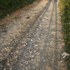 IMG_2510.JPG