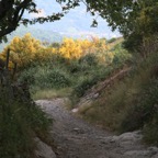 IMG_2512.JPG