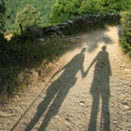 IMG_2513.JPG