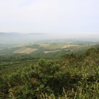 IMG_2516.JPG
