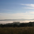 IMG_2536.JPG