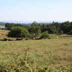 IMG_2541.JPG